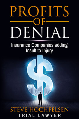 Profits of Denial by Steve Hochfelsen